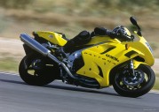 Triumph Daytona 955i Triumph Daytona 955i